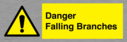 danger-falling-branches~
